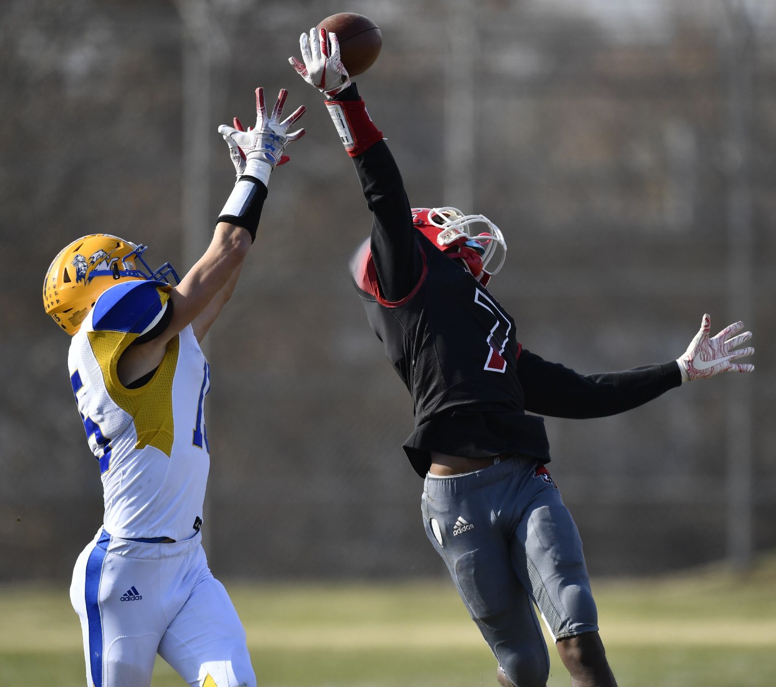 Roosevelt defeats Borgia in a Class 3 District 2 Football Game